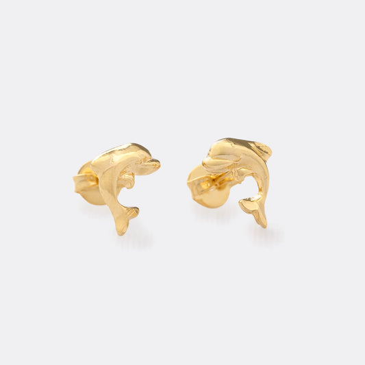 Arete Dolphin