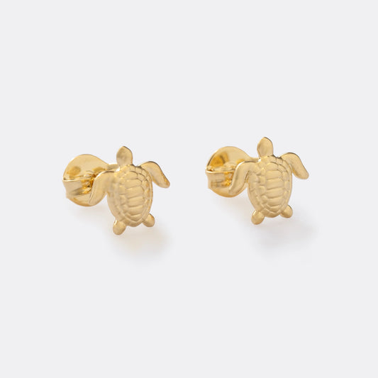 Arete Turtle